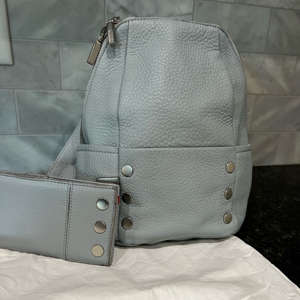 Hammitt Hunter Medium Backpack & 110 North Wallet Set in Dust Blue